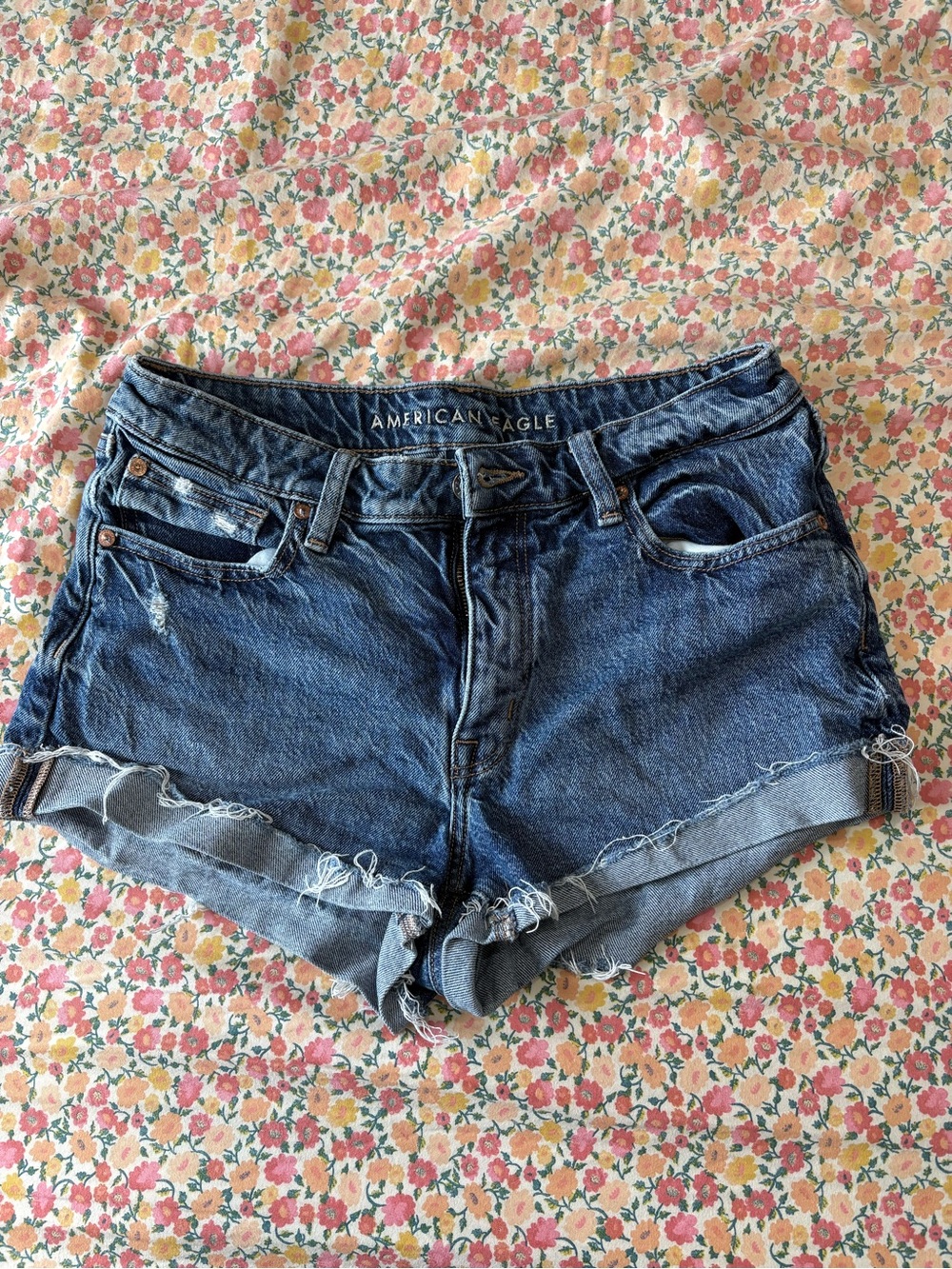 American Eagle Outfitters Blue Distressed Denim Cutoff Shorts